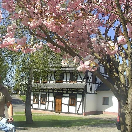 Ferienhaus Schmitt Beltheim Extérieur photo