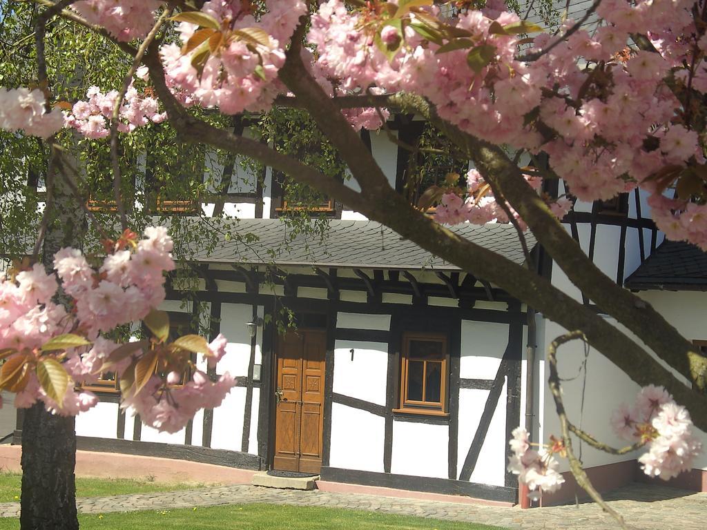 Villa Ferienhaus Schmitt à Beltheim Extérieur photo